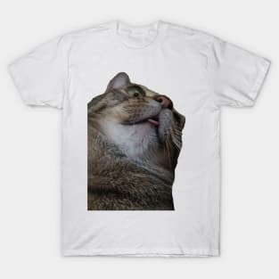 Riley the Derp King T-Shirt